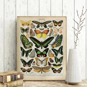 Vintage Ādolfa Millot Enciklopēdija Plakātu Izdrukas Butterfly Ziedu Kukaiņu Audekla, Gleznas, Sienu Mākslas Ainu Mājas Dekoru Cuadros