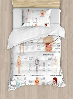 Cilvēka Anatomija Duvet Cover Set Pilnīgu Diagrammas Dažādu Orgānu Ķermeņa Struktūras Šūnu Dzīves Medicīnas Ilustrācija Dekoratīvs Gabals 2