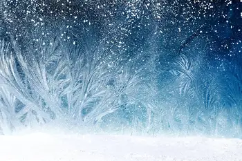 Capisco Ziemas Sniega Fotogrāfija Backdrops Sapņains Wonderland Kadriem Fona Dekorēšana Jaundzimušais Bērnu Foto Studijas aksesuārus