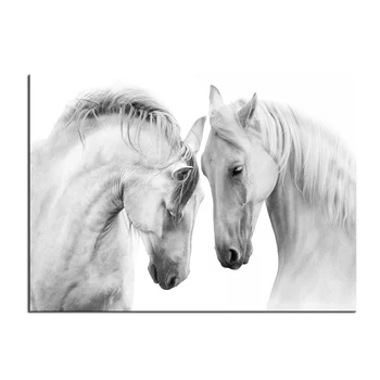 Lielformāta Druka, Eļļas Glezna Pāris skaistu baltu zirgu NAV-777861169 izdrukāt Attēlu, Dzīvojamā Istaba glezna Bez Rāmja