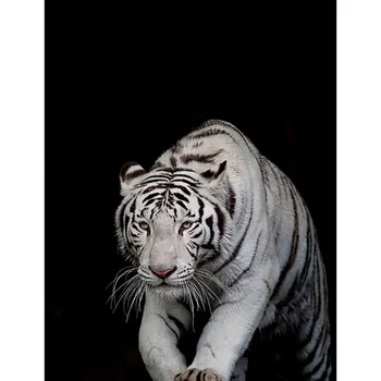 5D DIY Dzīvniekiem Dimanta Krāsošana Melna Balta Pilnu Kvadrātveida, Apaļas Dimanta Izšuvumi Krustdūrienā Mozaīkas Rhinestone Mājas Apdare